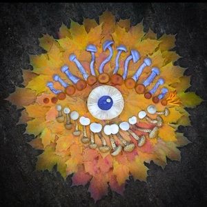 Meet your Posher, Meg